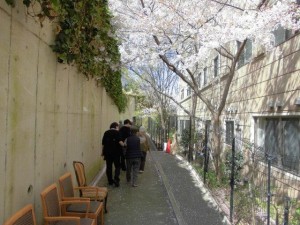 200405_桜（ルナハート千里　丘の街）